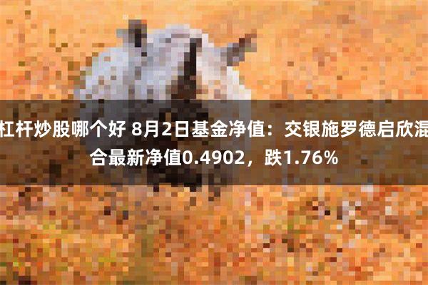 杠杆炒股哪个好 8月2日基金净值：交银施罗德启欣混合最新净值0.4902，跌1.76%