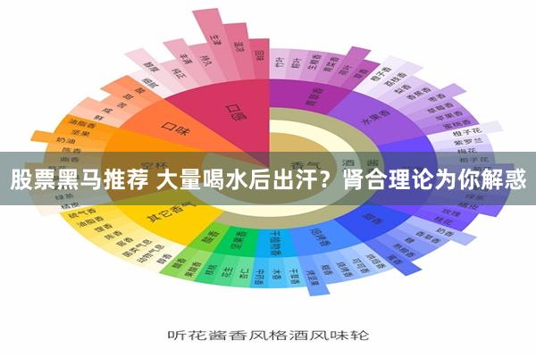 股票黑马推荐 大量喝水后出汗？肾合理论为你解惑