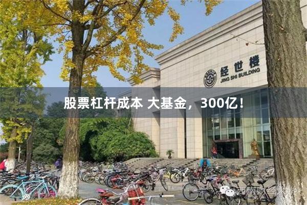 股票杠杆成本 大基金，300亿！