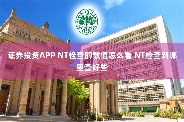 证券投资APP NT检查的数值怎么看 NT检查到哪里查好些