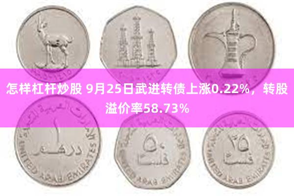 怎样杠杆炒股 9月25日武进转债上涨0.22%，转股溢价率58.73%