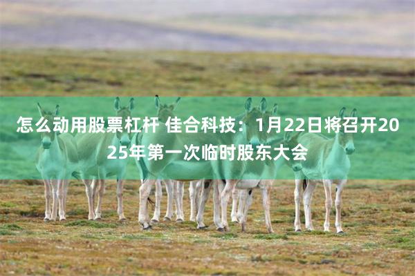 怎么动用股票杠杆 佳合科技：1月22日将召开2025年第一次临时股东大会