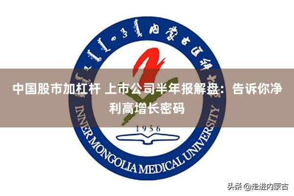 中国股市加杠杆 上市公司半年报解盘：告诉你净利高增长密码